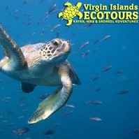 Virgin Islands EcoTours
